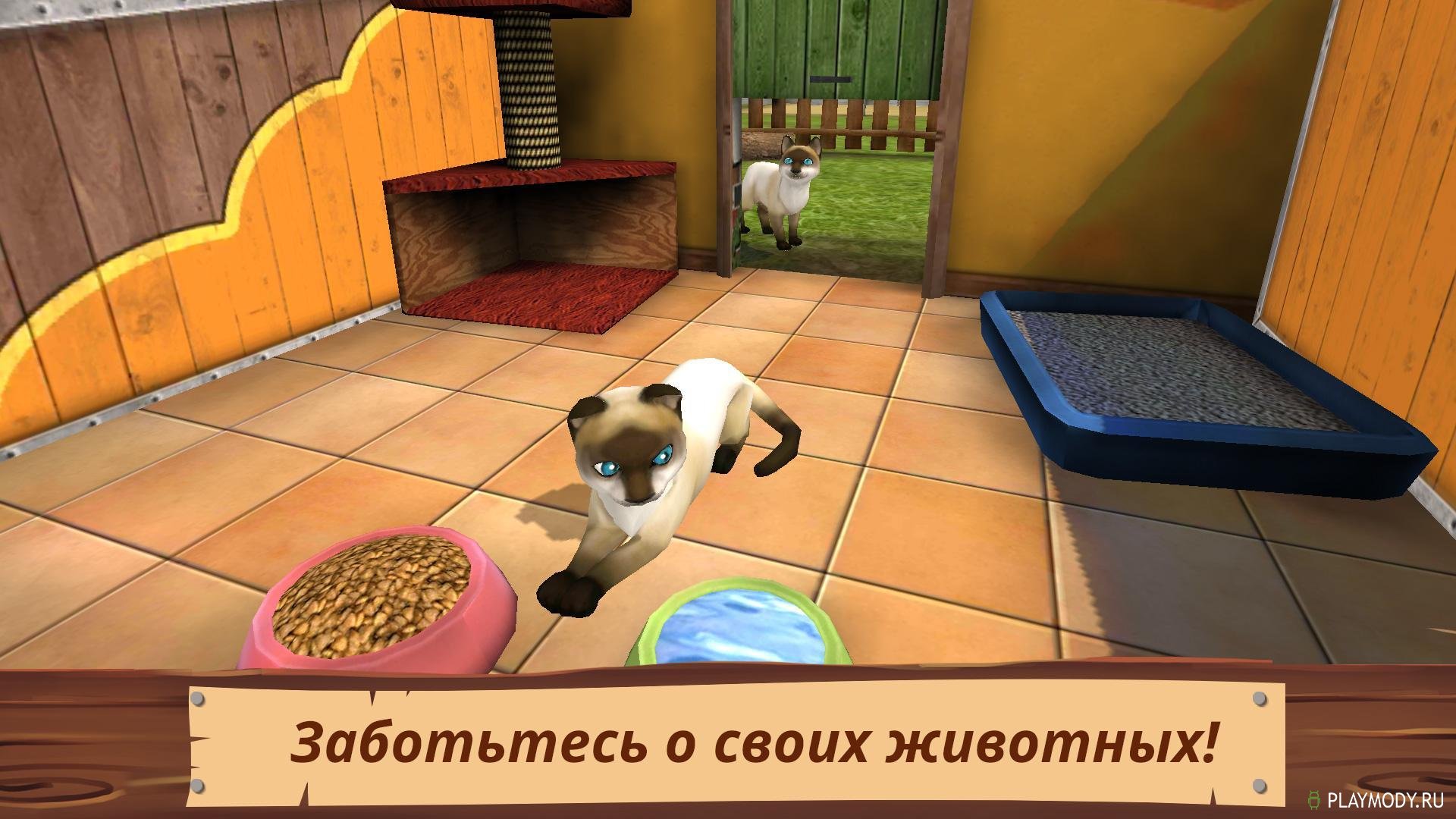 PETWORLD приют для животных. Игра приют для животных animal Shelter. Игра Pet World. Игра про приют для животных 3д.